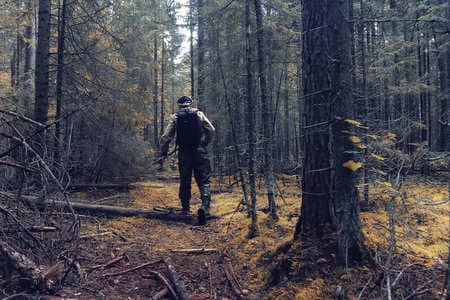 Купить диплом Егеря, лесника в Стерлитамаке