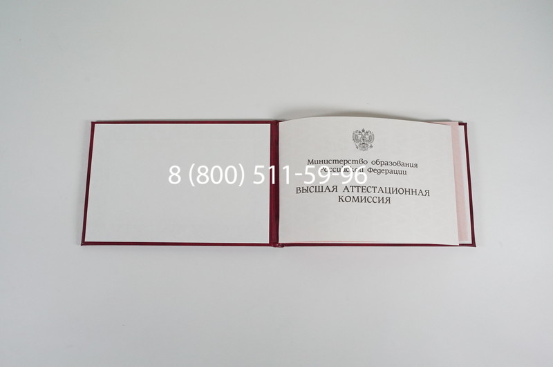 Диплом доктора наук 1995-2006 года в Стерлитамаке Диплом доктора наук 1995-2006 года в Стерлитамаке
