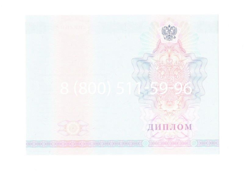 Заказать Диплом колледжа 2007-2010 годов в Стерлитамаке Заказать Диплом колледжа 2007-2010 годов в Стерлитамаке