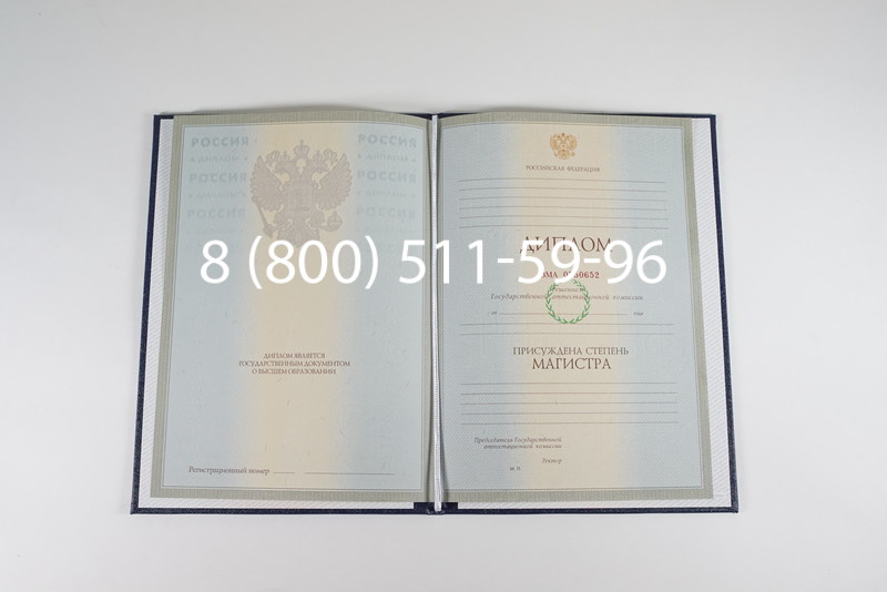 Диплом магистра 2003-2009 годов в Стерлитамаке