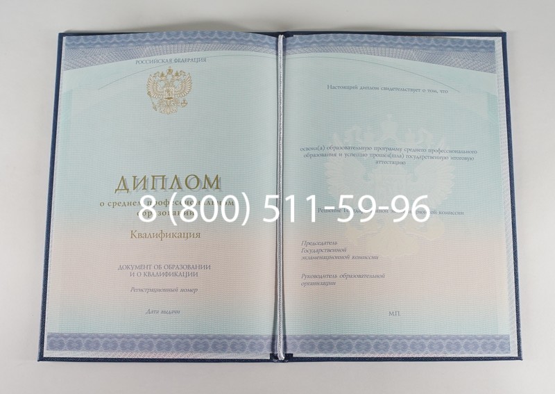 Диплом колледжа (Спецбланк) 2014-2024 года в Стерлитамаке