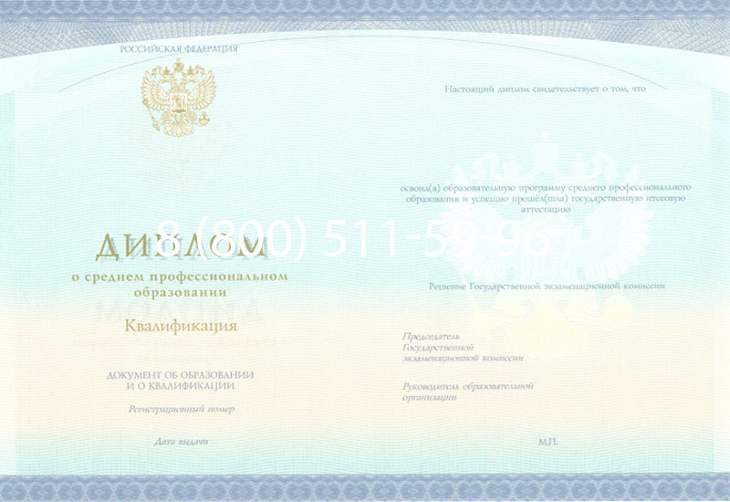 Купить Диплом колледжа (Спецбланк) 2014-2024 года в Стерлитамаке